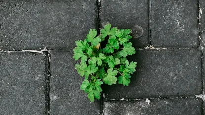 Casino Deposit Win Mobile App